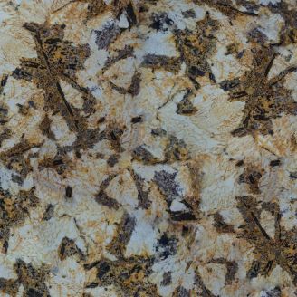Гранит Splendor Gold